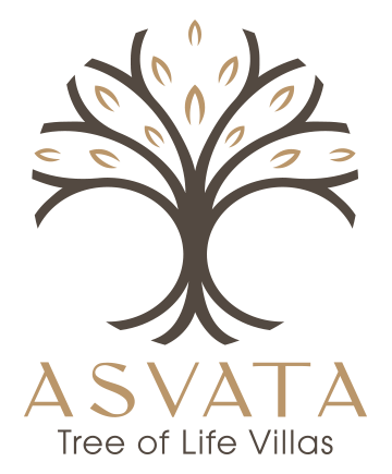 logo-asvata